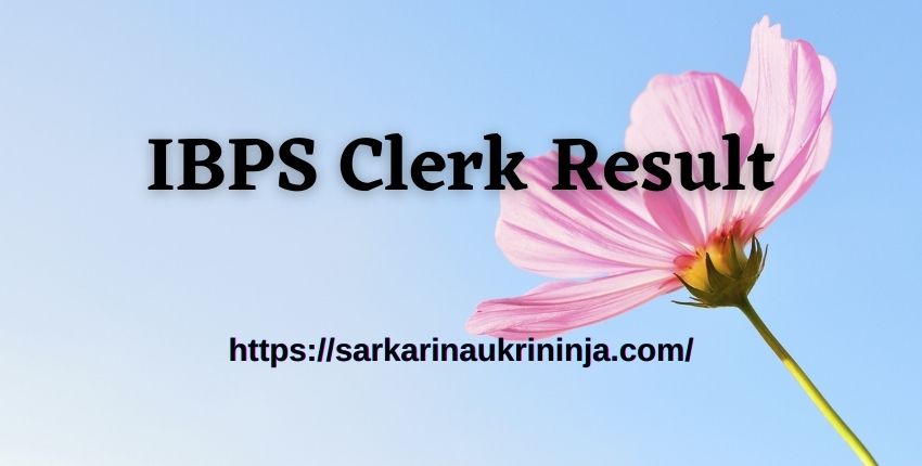 Read more about the article Download IBPS Clerk Result 2023 For CRP Clerks IX @ibps.in – Get Link Here
