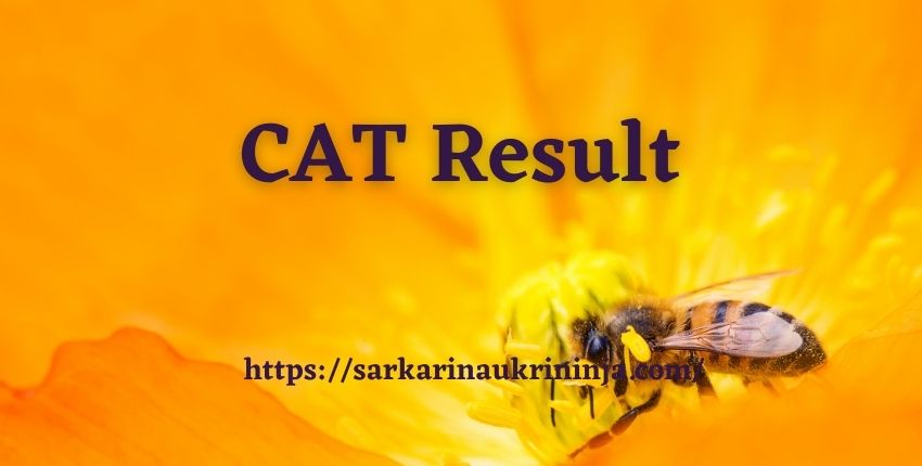 You are currently viewing CAT 2023 Result – How Many Marks One Need to Qualify CAT Exam 2023?