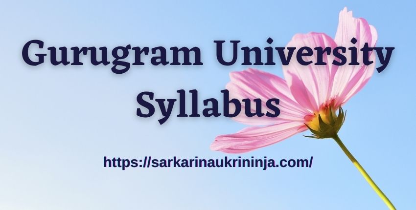 Read more about the article Gurugram University Syllabus 2023 PDF | Download Important Topics and Exam Pattern For Non Teaching Vacancy Exam