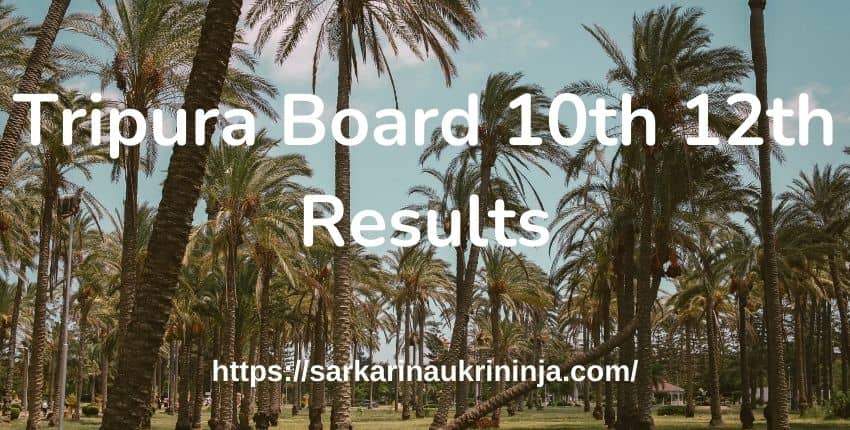 You are currently viewing Tripura Madhyamik Result 2023 Check By Roll No TBSE 10th Results Name Wise @ tripuraresults.nic.in